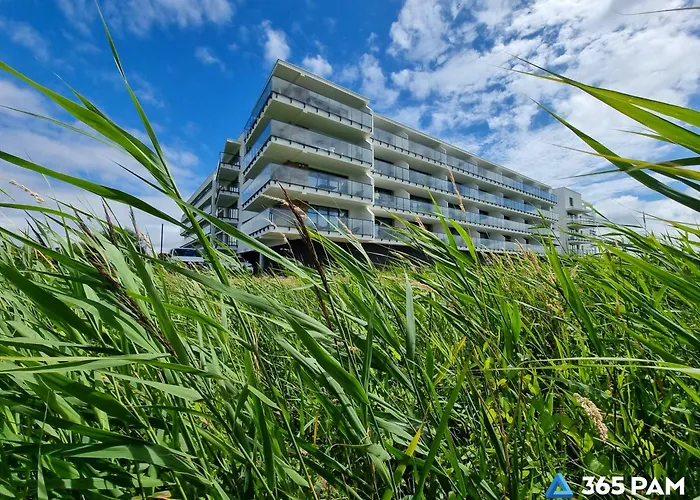 365PAM - Oliwny Gaj Westin House - BASEN